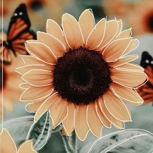 Meet your Posher, Eliana